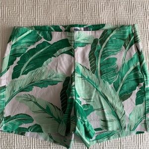 High Waist Palm Print Shorts